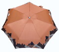 Dámský skládací deštník mini DM405B-S3