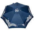 Plně automatický dámský skládací deštník mini DM405-S6-B