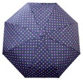 Dámský skládací deštník 5223C