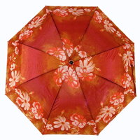 deštník dámský skládací 3143B