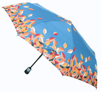 Deštník dámský skládací automatický DA331-S3-I - Carbon Steel