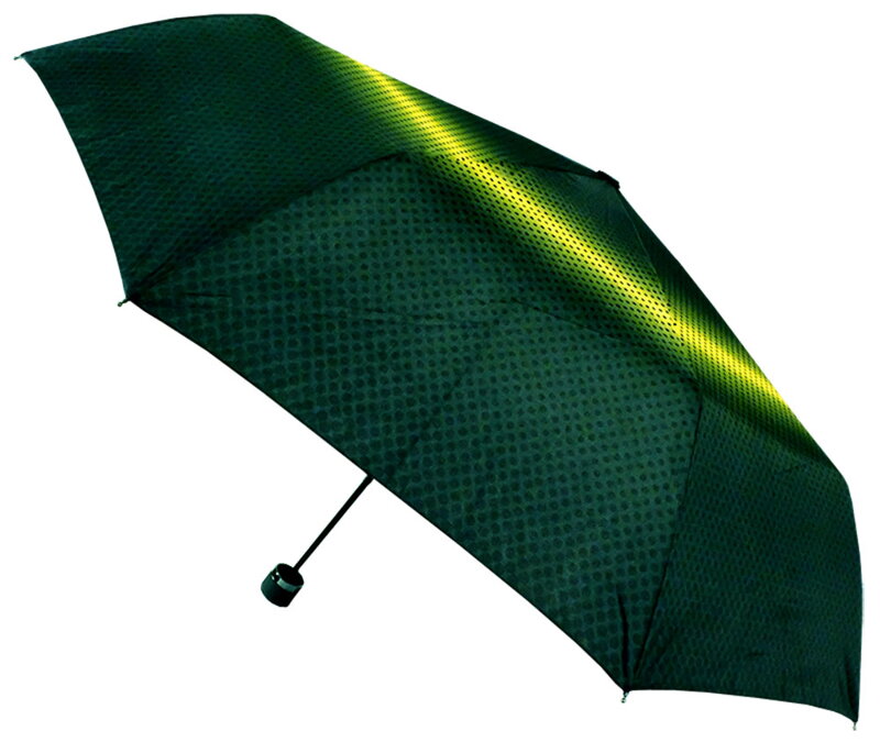 Deštník dámský skládací 3146F - Carbon