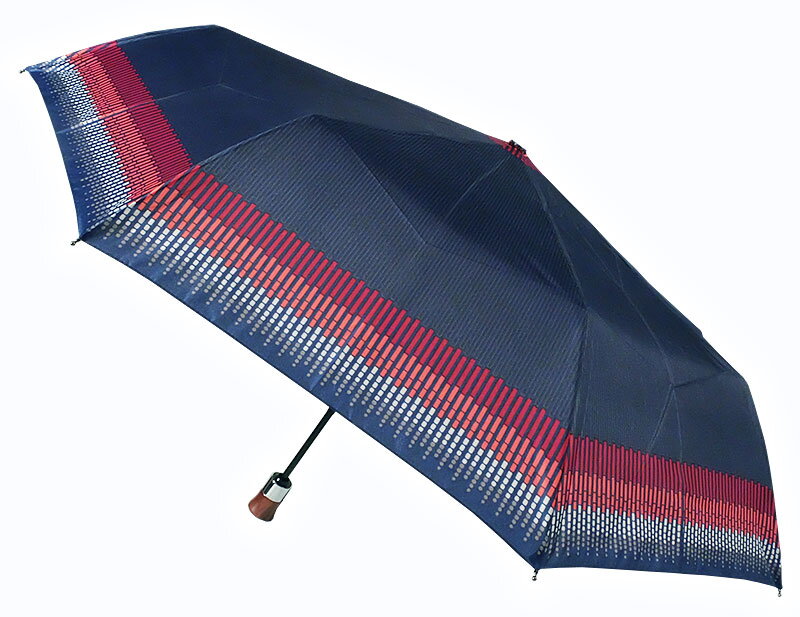 Deštník dámský skládací automatický DA331J - Carbon Steel