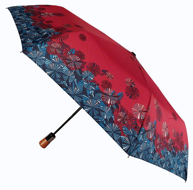 Deštník dámský skládací DM321-S2-S