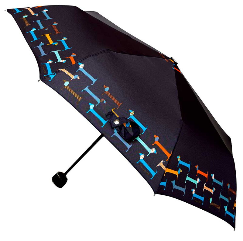 Deštník dámský skládací DM321N-S5