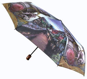 Deštník dámský skládací plně automatický RB416 - Pisa